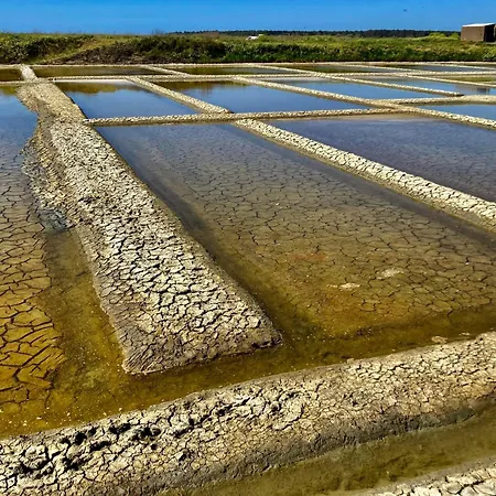 Lejlighed Cassiopee - Face