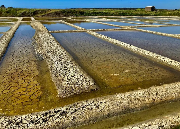 Apartment Cassiopee - Face